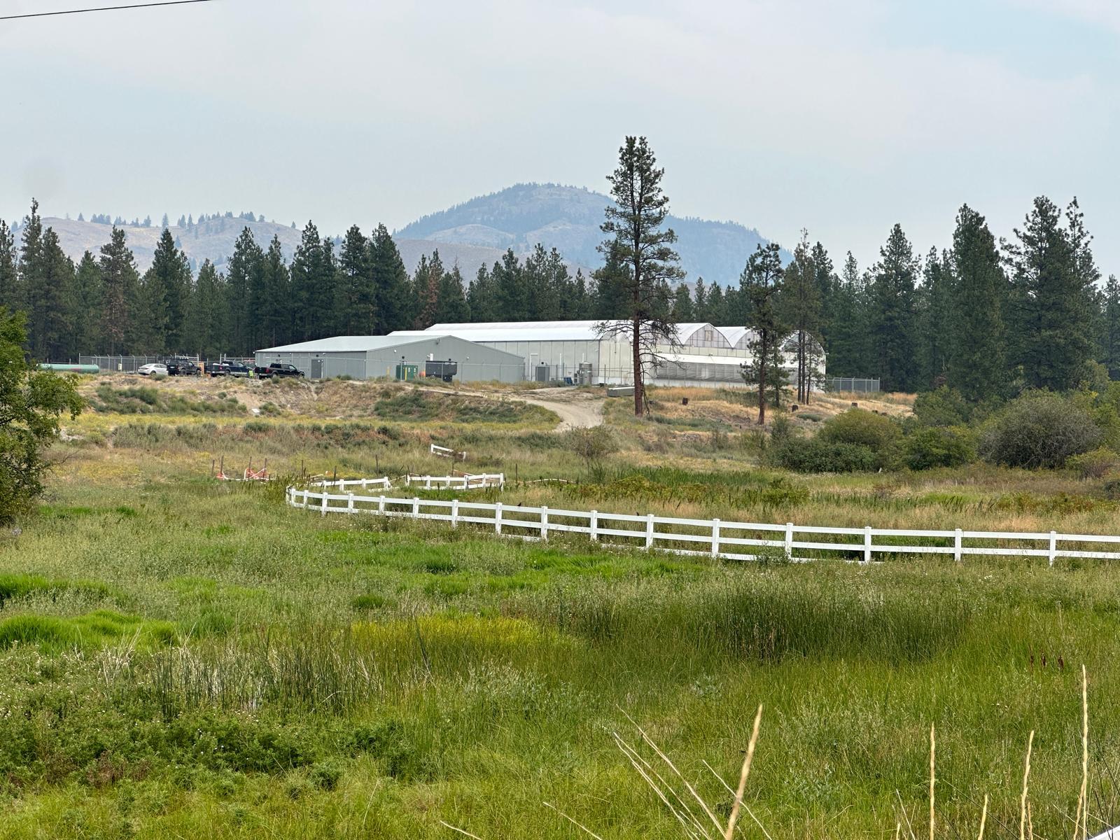 green mountain